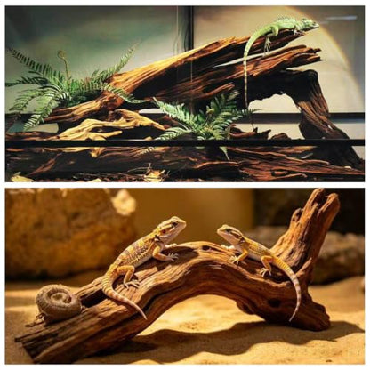 Hamiledyi Reptile Wood Branches 16" Length Snake Climbing Branch Lizard Habitat Natural Wood Decoration Bearded Dragon Climbing Accessories for Leapord Gecko