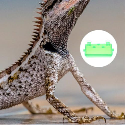 Reptile Feeding Trough and Water Dish with Anti-Escape Design, Large Green Non-Escape Food Bowl for Bearded Dragons, Geckos, Snakes, Suitable for Terrariums and Reptile Tanks