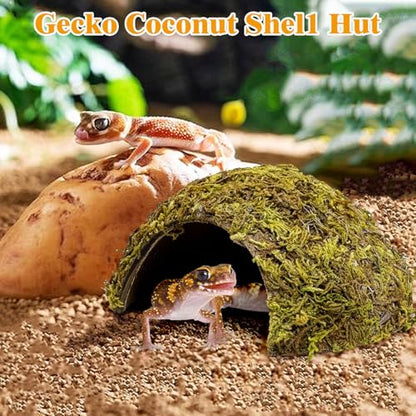 PINVNBY 4 Pack Natural Green Moss Hide Caves Coconut Reptile Hideouts Hamster Climbing Toys Gecko Habitat Decor Lizard Shell Shelter for Snake Tarantulas Turtle Chameleon - size: 4 PCS Moss Surface