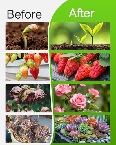 Grow Lights for Indoor Plants Full Spectrum, Clip On Plant Light with Timer 4/8/12/18H, Adjustable Gooseneck, 5 Dimming Levels, LED Grow Lamp for Houseplants - size: 3.6-inch Dual Head