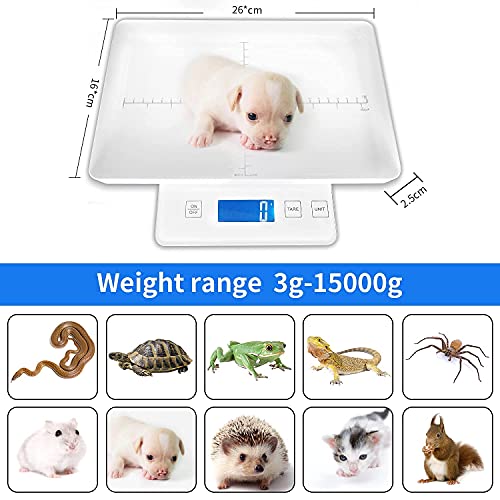 Digital Pet Scale for Small Animal, Whelping Scale,Mini Precision Gram Weight Balance Scale, High Precision 1g, Suitable for Newborn Pets - color: White 1g