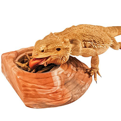 Healthy Herp Dragon Treat Grasshoppers - Nutritious Turtle Food 0.56oz(16g) | Bearded Dragon Tank Accessories - for Bearded Dragons, Box Turtles, Aquatic Turtles