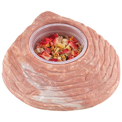 Healthy Herp Box Turtle Food Instant Meal for Reptiles - Nutritious Turtle and Tortoise Food, Habitat Accessories - Made in USA, Quick Prep - 7 x 0.19 oz (5.4g) Cups - size: 0.19 Ounce (Pack of 7), style: 7-Pack Cups
