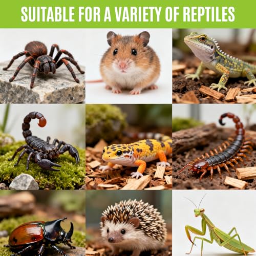 Jumping Spider Enclosure, Front-Opening Acrylic Spider Terrarium，Laser-Cut Biomimetic Ventilation System, Escape-Proof for Feeder Insects