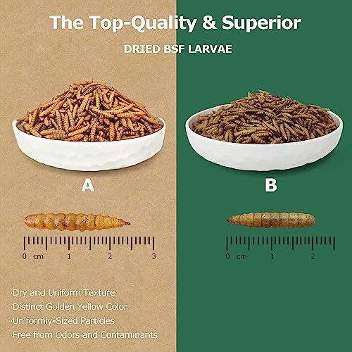Premium Dried Black Soldier Fly Larvae for Chickens - 5LB High Calcium Supplement, Molting and Laying Support, Non-GMO & High-Protein Treats, Food for Wild Birds, Ducks, Reptile | Top Grade - size: 5 Pound (Pack of 1)