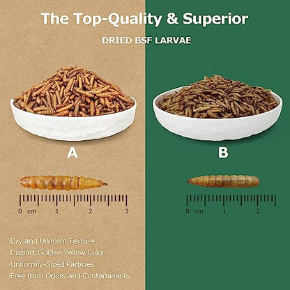 Premium Dried Black Soldier Fly Larvae for Chickens - 5LB High Calcium Supplement, Molting and Laying Support, Non-GMO & High-Protein Treats, Food for Wild Birds, Ducks, Reptile | Top Grade - size: 5 Pound (Pack of 1)