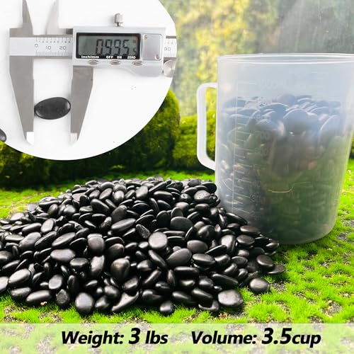 Black Pebbles for Plants 3lb Bulk Bag 0.5"- 1" Aquarium Gravel Decorative Polished Stone Natural River Rocks for Fish Tank… - size: 3LB, style: Black