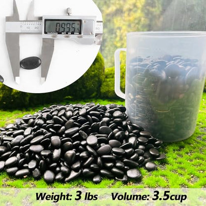 Black Pebbles for Plants 3lb Bulk Bag 0.5"- 1" Aquarium Gravel Decorative Polished Stone Natural River Rocks for Fish Tank… - size: 3LB, style: Black