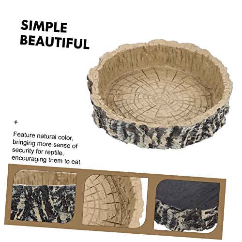 Crawling Pet Food Storage Basin Reptile Water Feeder Tortoise Food Container Habitat Accessory