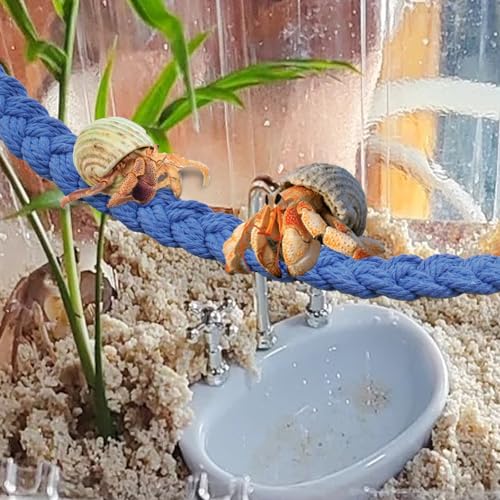 2PCS Hermit Crab Climbing Toys,Hermit Crab Rope Ladder Decor Reptile Hanging Vines Toys Hermit Crab Supplies Reptiles Habitat Tank Terrarium Accessories for Lizard Leopard Gecko Tree Frog(Blue)