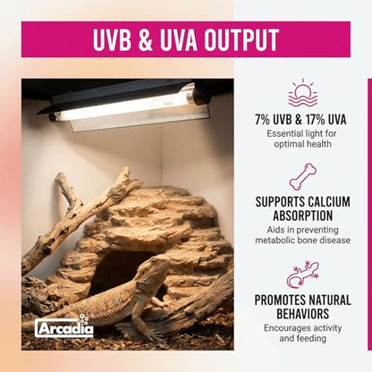 Arcadia T5 UVB Reptile Light Fixture Kit 12" Long 8 Watts 7% UVB ShadeDweller – Complete UVB Light for Reptiles, Turtles, Snake, Bearded Dragon Lamp, Long Lasting Easy to Use Professional Lighting
