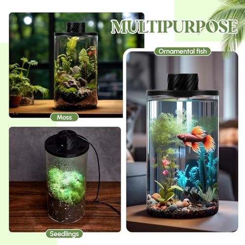 Glass Terrarium Kit with LED Grow Light for Desktop,7.9 x 3.9 Inch | Self Contained Ecosystem, Large Capacity Succulents Moss Venus Fly Trap, Borosilicate Planter, Miniature Garden Home Decor