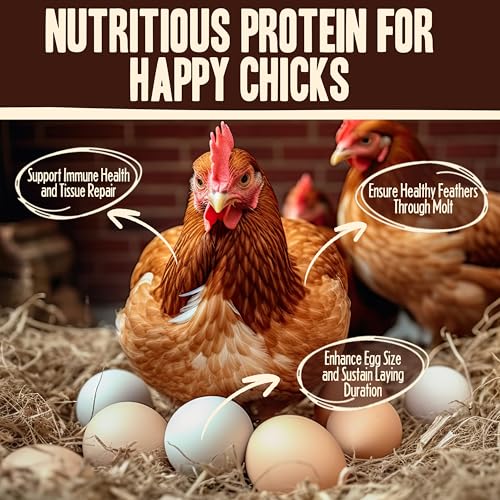 Pet Faves Dried Mealworms for Chickens, Birds, Hamster, Reptile and Turtle - Premium Non-GMO Treats with 55% Protein for Laying Hens - Organic Food for Wild Bird, Bluebirds, Robins, Cardinals. 5 Lb - size: 5 Pound (Pack of 1)