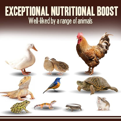 Pet Faves Dried Mealworms for Chickens, Birds, Hamster, Reptile and Turtle - Premium Non-GMO Treats with 55% Protein for Laying Hens - Organic Food for Wild Bird, Bluebirds, Robins, Cardinals. 5 Lb - size: 5 Pound (Pack of 1)
