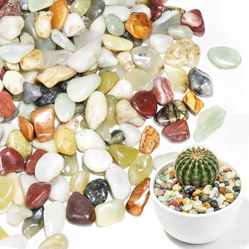 20 lbs Succulent Pebbles,1/2 Inch Small Rocks for Plants,Pebbles for Crafts,Suitable for Vases, Cactus Potted Plants, Fish Tanks,Fountain - color: Mixed Color, size: 1/2 Inch 20 LB