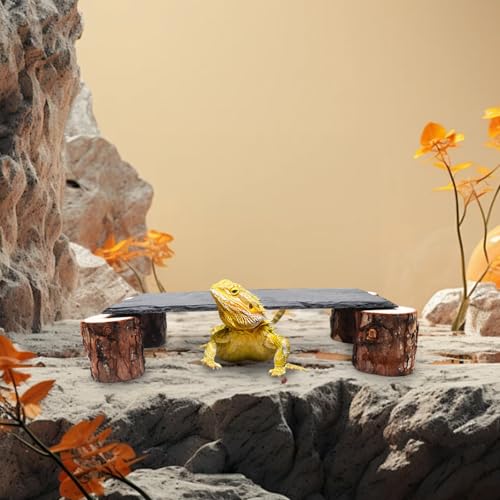 Bearded Dragon Basking Platform, Slate Rocks for Reptiles with Wooden Pile, Leopard Gecko Hides and Caves, Reptile Tank Accessories for Bearded Dragons, Geckos, Ball Pythons, Tortoise (Black, Small) - size: Small