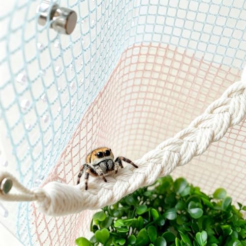 Jumping Spider Enclosure Accessories, Climbing Net & Fence for Reptiles | Spider Terrarium Decor,Jumping Spider Suspension Bridge,for Small Reptile Spoods Jumping Spider Habitat Accessories Set.