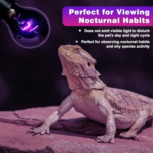 LUCKY HERP Reptile Heat Lamp 75W 2 Pack, Reptile Night Heat Bulb, Reptiles & Amphibians Basking Spot Light Bulb for Bearded Dragon, Lizard, Snake, Turtle, Chameleon