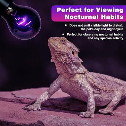 LUCKY HERP Reptile Heat Lamp 75W 2 Pack, Reptile Night Heat Bulb, Reptiles & Amphibians Basking Spot Light Bulb for Bearded Dragon, Lizard, Snake, Turtle, Chameleon