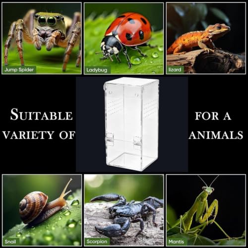 Jumping Spider Enclosure with Magnetic Door Acrylic House | Reptile Terrarium Spider Feeding Box for Tarantula Snail Gecko Frog Lizard Beetles Centipedes Home Living Room Office