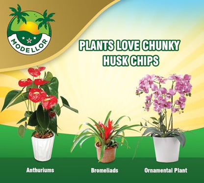 Premium Super Washed, Clean, Coco Chips [10 lb], Yields 2 cu ft. of Loose Chips. Plant Substrate, Organic, Reptile Bedding, Odor Absorbing, Grow Orchids, Mulch Indoor, Outdoor.