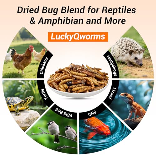 Dried Insect Trail Mix for Chickens - High Protein 42% & Calcium 1.1% for Egg Laying - Natural Treat for Birds, Reptiles, Ducks, Hedgehogs - 1 Lbs Resealable Bag