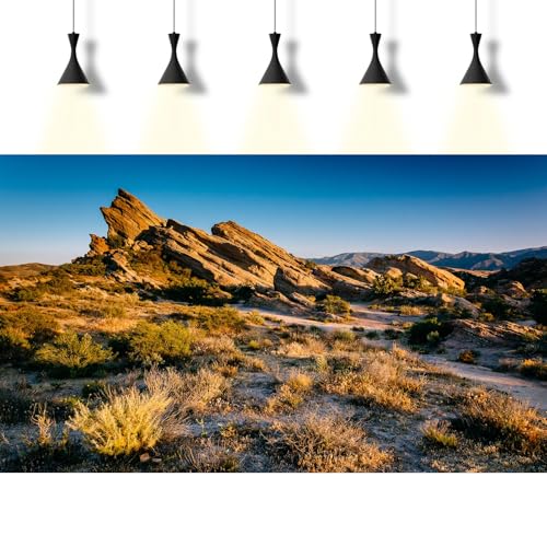 Desert Reptile Tank Background Evening Light on Rocks Terrarium Background Sunset Desert Rocky Bush Thorns Reptile Enclosure Backgrounds Desert Gobi Bearded Dragon Tank Aquarium Backgrounds 24x12in - color: Gobi Gold, size: 24(W)x12(H)inches/ 60(W)*30cm(H