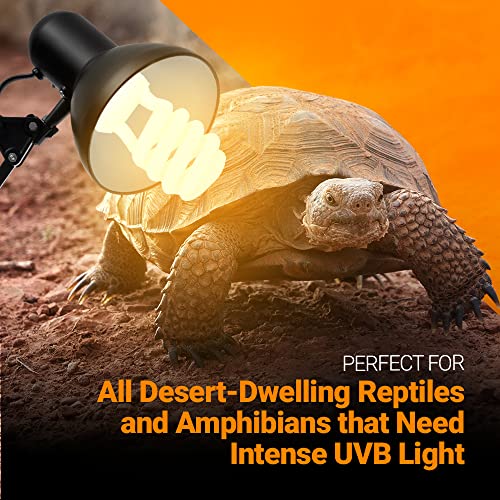 Bluex Bulbs 2 Pack 13-Watt Reptile Light - Intense UVA/UVB, 15.0 UVB, Compact Florescent, Suitable for Desert Reptiles & Amphibians, Promotes Natural Behavior, CFL Bulb - style: UVB 15.0