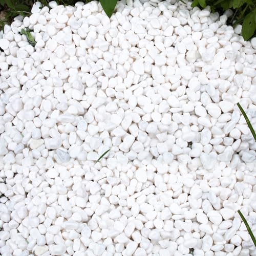 45lb White Rocks for Plants,Potting,Succulents Aquarium Fish Tank Garden Vases Decorative Pebbles Gravel Rocks Stones - size: 45LB, style: White