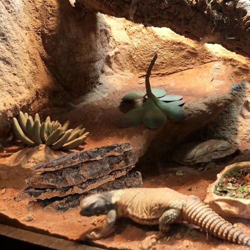Toyvian Natural Cork Bark Flats Rounds, Organic Reptile Hide Basking Platform Bioactive Terrarium Wood Decor for Bearded Dragons Geckos Hermit Crabs