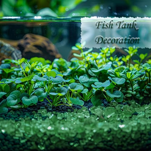 1.3 LB Crushed Glass Sand Broken Fire Glass Pieces for Crafts,Light Green | Crush Terrarium Rocks Stones,Fire Pit,Crafts,Resin Arts,Succulents,Vase Fillers,Candle Holder Filler - color: Light Green