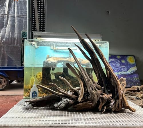 AWXZOM Aquarium Driftwood Branches,2.2lb 9-14inch Long Driftwood for Aquarium Reptile Driftwood Branches Log Natural Driftwood for Aquarium Reptile Branches