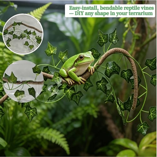 Bearded Dragon Tank Accessories, Terrarium Decor, Ball Python | Leopard gecko,Crested gecko, Chameleon cage accessories,Terrarium plants,Reptile decor,Starter kit,Snake decor,Hermit crab
