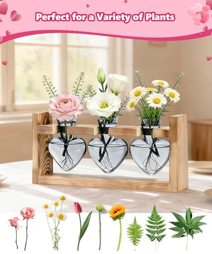 Plant Terrarium with Wooden Stand, 3 Heart Bulb Glass Vases | Wooden Stand Tabletop for Air Planter, Gifts for Mom Plant Lovers Mom Women Wife Grandma - color: Light Gray