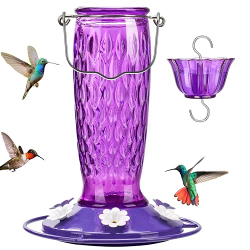 Kingsyard Glass Hummingbird Feeder for Outdoors with Ant Moat | 24 oz, Wide-Mouth Opening, 6 Metal Feeding Ports, Bee Guard, Easy to Clean & Refill Nectar, 360 Degree Perch, Purple - color: Purple