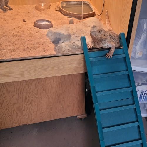 Bearded Dragon Ramp Ladder, Natural Material Reptile Climbing Bridge and Tank Accessories, Versatile Ladder Bridge and Climbing Decor for Lizards and Reptiles (No Hooks 7in(Contains Five ladders))