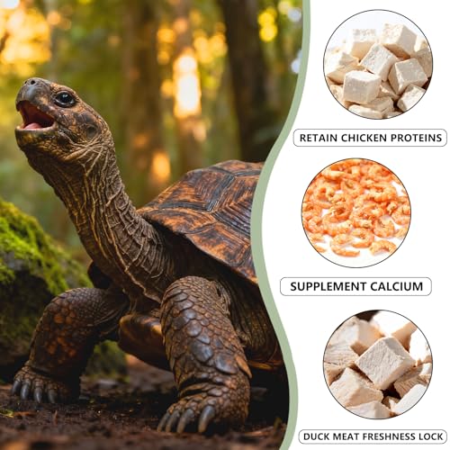 Freeze-Dried Chicken, Duck & Krill for Turtles, Cats & Dogs | 3 oz Canister | Protein-Rich Diet for Aquatic Turtles, Sensitive Stomach Pets & Skin Health (3 oz)