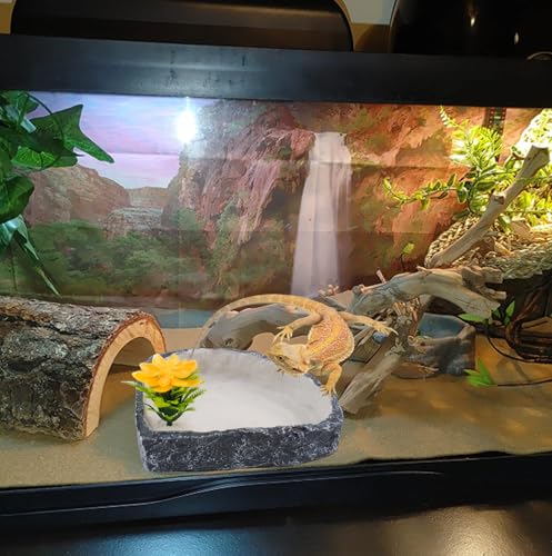 Reptile Corner Food Bowl Water Dish,Snake Feed Dish with Artificial Plant Reptile Water Bowl Terrariums for Bearded Dragon Tortoise Chameleon Hermit Crabs Turtle Leopard Gecko Frog