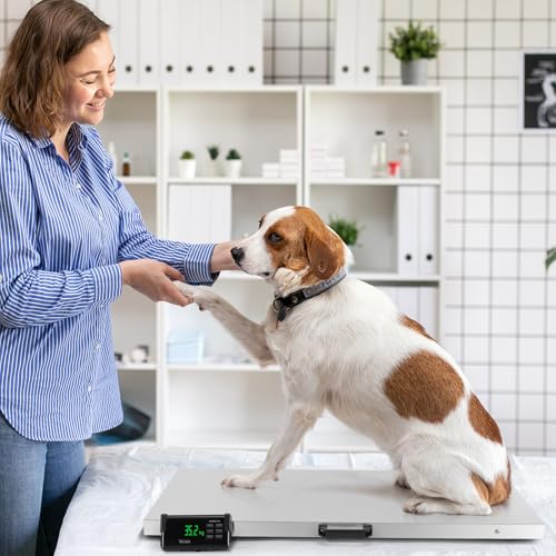 TUFFIOM 1100Lbs x 0.2Lbs Postal Digital Livestock Scale, Electronic Stainless Steel Platform Heavy Duty Vet Animal Scale,Dog Pig Goat Sheep Scale, Silvery - color: Silver