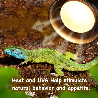 MRREPTILE Reptile Heat Lamp Bulbs, 2-Pack 100W Daylight Basking Bulbs, Reptile Basking Lamps, Bearded Dragon Basking Light, Simulated Natural Basking for Reptiles Snakes Lizards Tortoise Heater - size: 100W