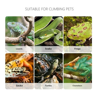 Reptiles Safe Feeding Tongs Clear Creature Catcher for Gentle Handling Ergonomic Grip Easy Maintenances Tool Creature Captures Tool