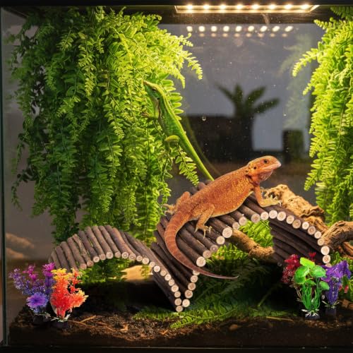 PINVNBY 9PCS Wooden Bridge Hideout and Reptile Plants Vines Climbing Terrarium Habitat Decor Hut Bearded Dragon Tank Accessories for Lizard Crested Gecko Tortoise Snake Hermit Crab