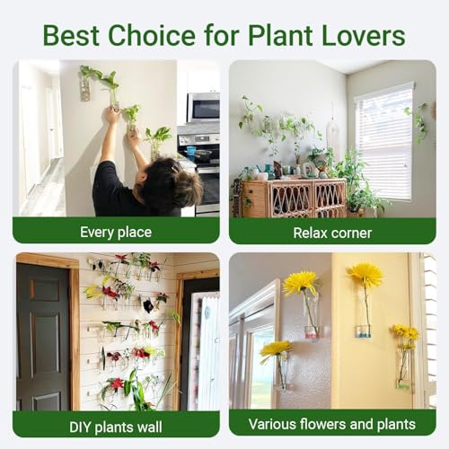 Terrarium Hanging Glass Wall Planters Air Plant Holders Round Glass Plant Pots Containers for Hydroponics Plants, Succulents, Herbs, Flowers (Cylinder 4pcs)