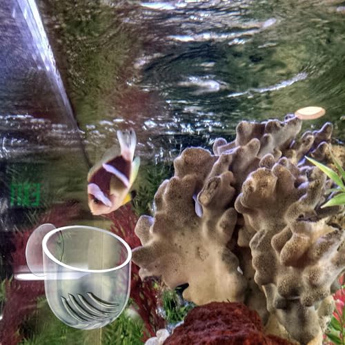 2Pcs Fish Tank Plant Holder Aquarium Plant Pot Suction Cup Planters | Water Plant Holder for Aquarium Suction Pot Clear Acrylic Aquatic Planter Aquarium Plants Cup for Fish Tank Decorations