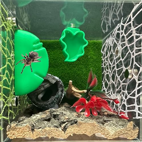 2 PCS Jumping Spider Feeding Dish, Leaf Shape Tiny Food Dishes Water Bowl with 1PC Tweezer and 1PC Dropper for Jumping Spider, Tarantula and Other Small Pets