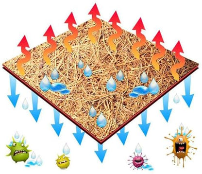 PIVBY 2 PCS Reptile Carpet, Natural Coco Coir Mat (15.74" x 11.81"), Coconut Fiber Substrate Pet Terrarium Liner for Bearded Dragon Tortoise Habitat Lizards Turtles Snakes Iguana Hermit Crab - size: S: 15.74" x 11.81"