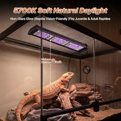 LED UVB Reptile Light with Timer & Dimmer (12inch) | 12W Full Spectrum UVA UVB Lamp with 3 Lighting Modes,5-Level Dimmable,4/8/12H Cycle Timer,for Bearded Dragon,Gecko,Tortoise - size: 12inch