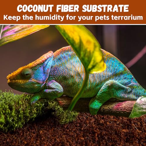 6 Pack Coconut Fiber Substrate, Natural Coco Coir Reptile Bedding | Reptile Substrate for Tortoises, Snakes, Hermit Crabs, Bearded Dragon and Turtles, Bioactive Terrarium Soil & Plant Substrate - color: 6 Pack