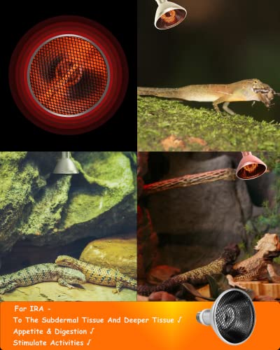 Deep Heat Projector - DHP 130W Infrared Reptile Heat Lamp Bulbs for Turtle Light Bearded Dragon Chicken Lizard Leopard Gecko Snake - color: Dhp 130w