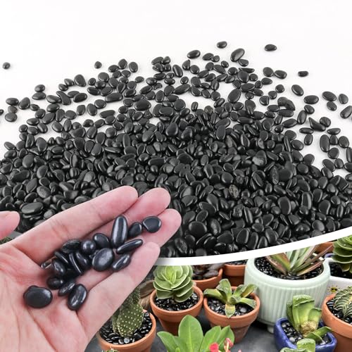 CJGQ 2.4lb 1/4" Small Pebbles Black for Plants,Potting,Succulents Aquarium Fish Tank Vases Decorative Garden Polished Gravel Rocks Stones - color: Black, size: 2.4lb